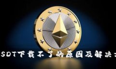 : USDT下载不了的原因及解决方法