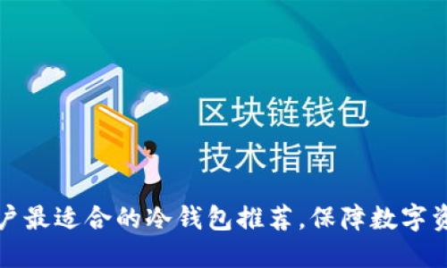 苹果用户最适合的冷钱包推荐，保障数字资产安全