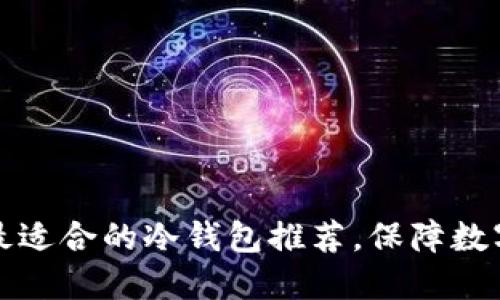 苹果用户最适合的冷钱包推荐，保障数字资产安全