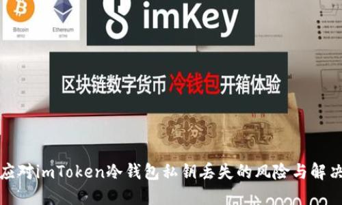 如何应对imToken冷钱包私钥丢失的风险与解决方案