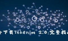 如何安全下载Tokenim 2.0：完