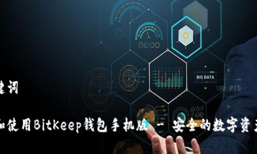 思考和关键词

如何下载和使用BitKeep钱包手机版 - 安全的数字资产管理工具