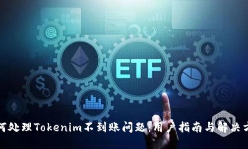 如何处理Tokenim不到账问题：用户指南与解决方案