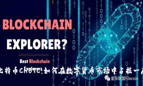 中国比特币CHBTC：如何在数字货币市场中占据一席之地