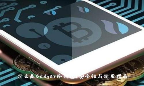 什么是Badger冷钱包？安全性与使用指南