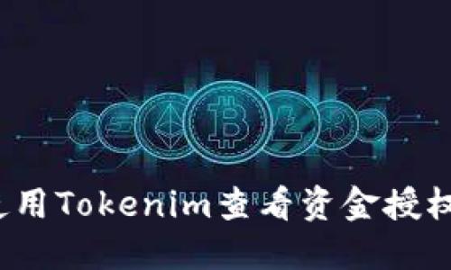 如何使用Tokenim查看资金授权情况？