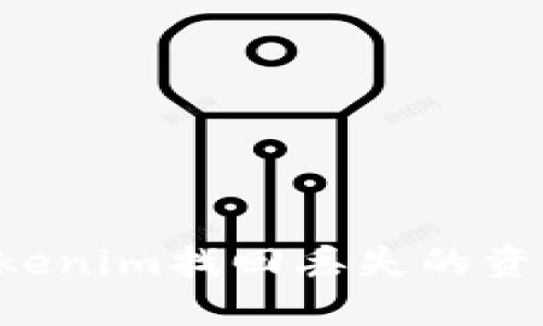 如何通过Tokenim找回丢失的资产：全面指南