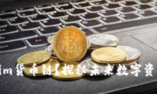 思考一个且的

什么是Tokenim货币链？探秘未来数字资产的发展方向