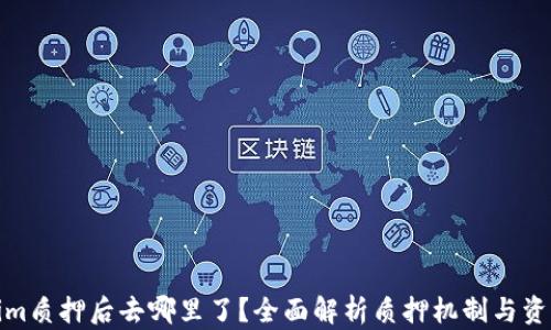 
Tokenim质押后去哪里了？全面解析质押机制与资产流向