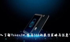  深入了解TokenIM：参与IC