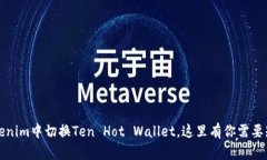 如何在Tokenim中切换Ten Ho