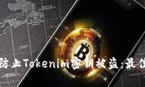 如何有效防止Tokenim密钥被盗：最佳安全实践