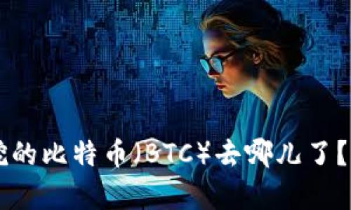 中本聪挖的比特币（BTC）去哪儿了？深度解析