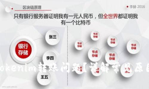 : 如何解决Tokenim转账问题？详解常见原因与解决方案