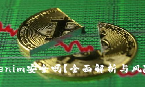 放Tokenim安全吗？全面解析与风险评估