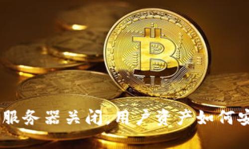 Tokenim服务器关闭，用户资产如何安全处理？