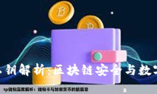 Tokenim私钥解析：区块链安全与数字资产保护