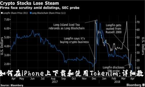  如何在iPhone上下载和使用Tokenim：详细教程