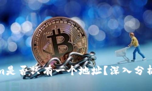 Tokenim是否只有一个地址？深入分析与探讨