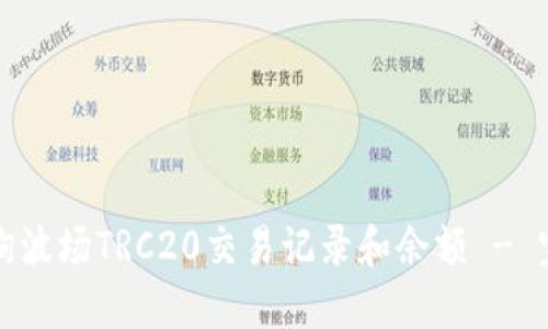 如何查询波场TRC20交易记录和余额 - 完整指南