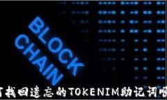 如何找回遗忘的TOKENIM助记