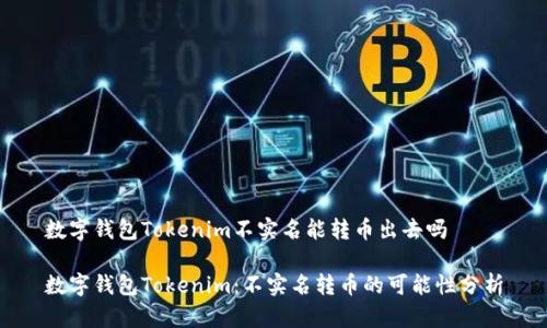 数字钱包Tokenim不实名能转币出去吗

数字钱包Tokenim：不实名转币的可能性分析