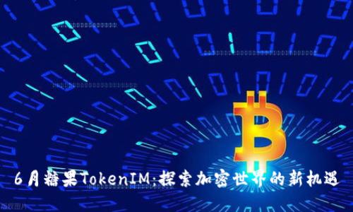 6月糖果TokenIM：探索加密世界的新机遇