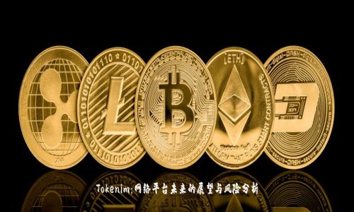 Tokenim：网络平台未来的展望与风险分析