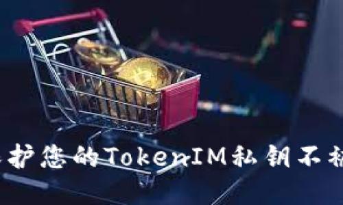 如何保护您的TokenIM私钥不被导出？