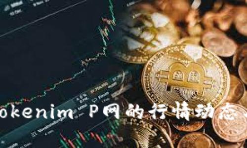 如何分析Tokenim P网的行情动态与投资策略