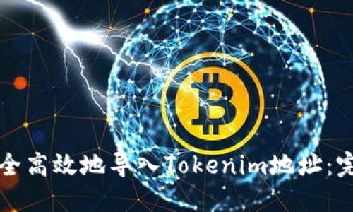 如何安全高效地导入Tokenim地址：完整指南