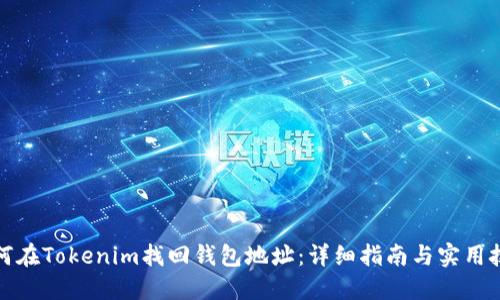 如何在Tokenim找回钱包地址：详细指南与实用技巧