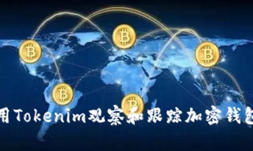 如何使用Tokenim观察和跟踪加密钱包的活动