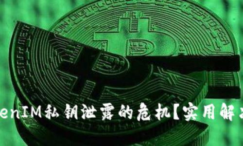 优质如何应对TokenIM私钥泄露的危机？实用解决方案与预防措施