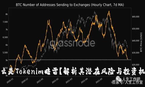 什么是Tokenim暗雷？解析其潜在风险与投资机会