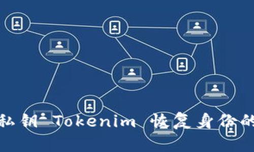 如何使用私钥 Tokenim 恢复身份的详细步骤