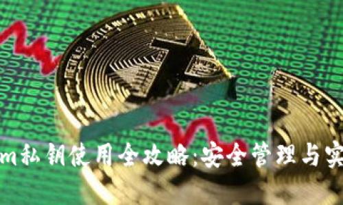 Tokenim私钥使用全攻略：安全管理与实用技巧