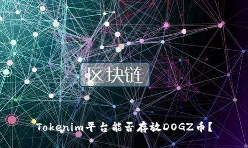 Tokenim平台能否存放DOGZ币？