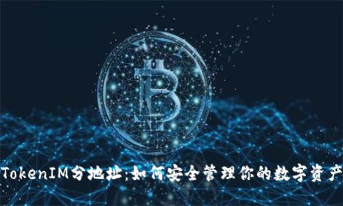 TokenIM分地址：如何安全管理你的数字资产