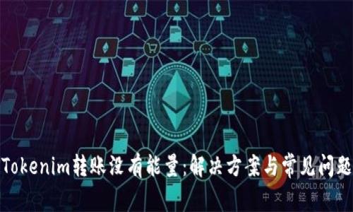 Tokenim转账没有能量：解决方案与常见问题