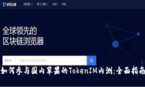 如何参与国内苹果的TokenIM内测：全面指南