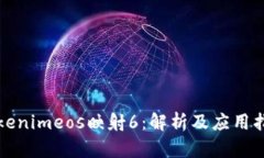 Tokenimeos映射6：解析及应用