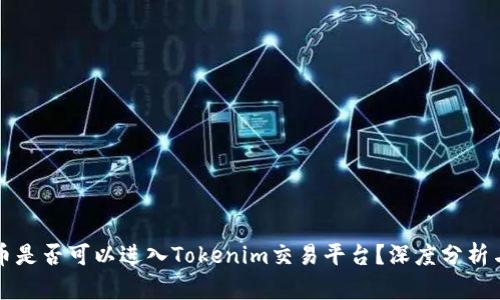 传销币是否可以进入Tokenim交易平台？深度分析与解读