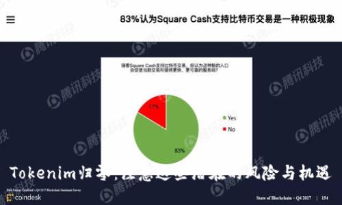 Tokenim归零：注意这些潜在的风险与机遇