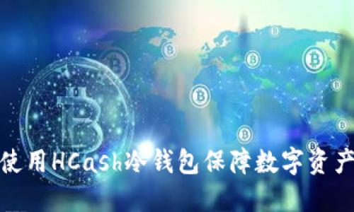 如何使用HCash冷钱包保障数字资产安全