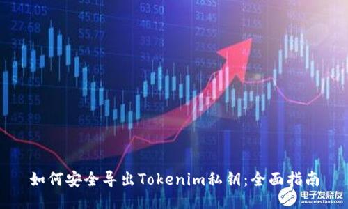 如何安全导出Tokenim私钥：全面指南