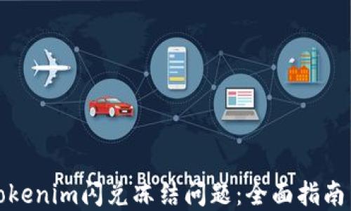 
如何解决Tokenim闪兑冻结问题：全面指南与实用技巧