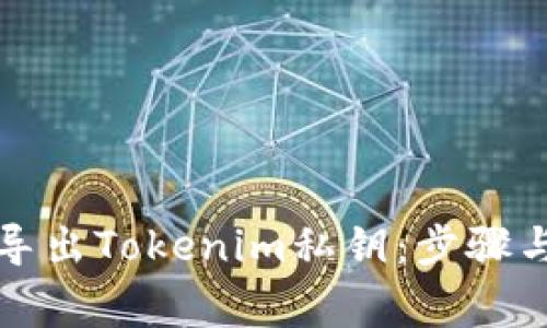 如何安全导出Tokenim私钥：步骤与注意事项