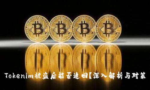 Tokenim被盗后能否追回？深入解析与对策