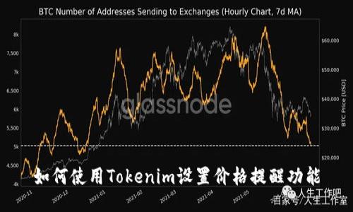 如何使用Tokenim设置价格提醒功能